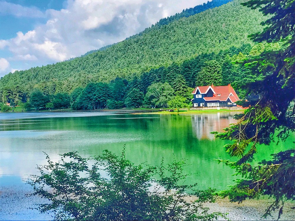 Bolu Gölcük Tabiat Parkı: Doğanın Kucakladığı Bir Huzur Köşesi