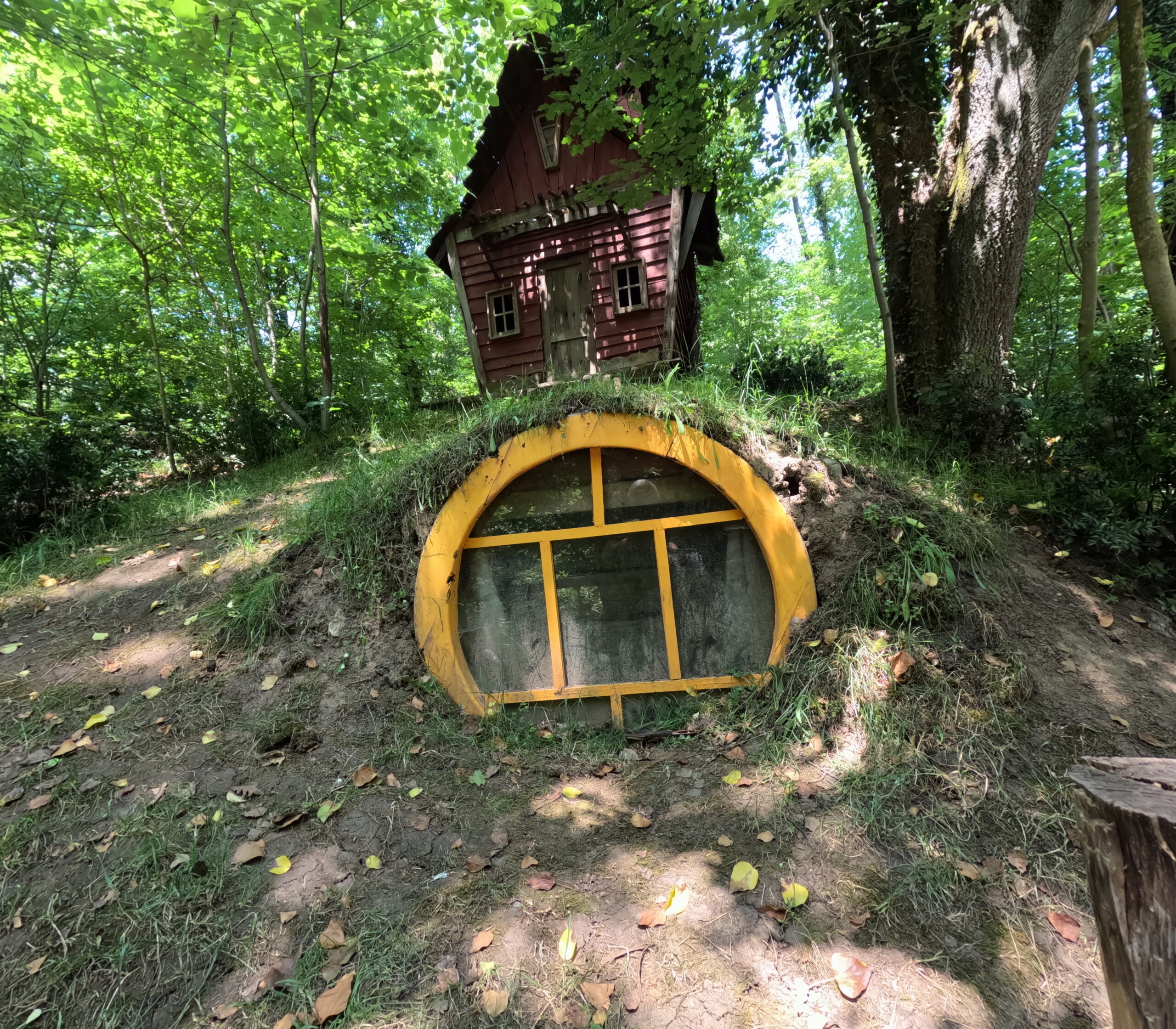 Ormanya Gezimizden Kareler