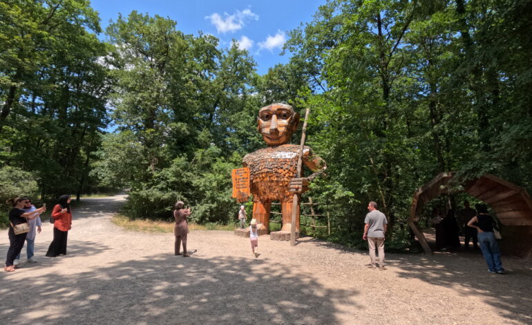 Muhteşem Ormanyada bir gün