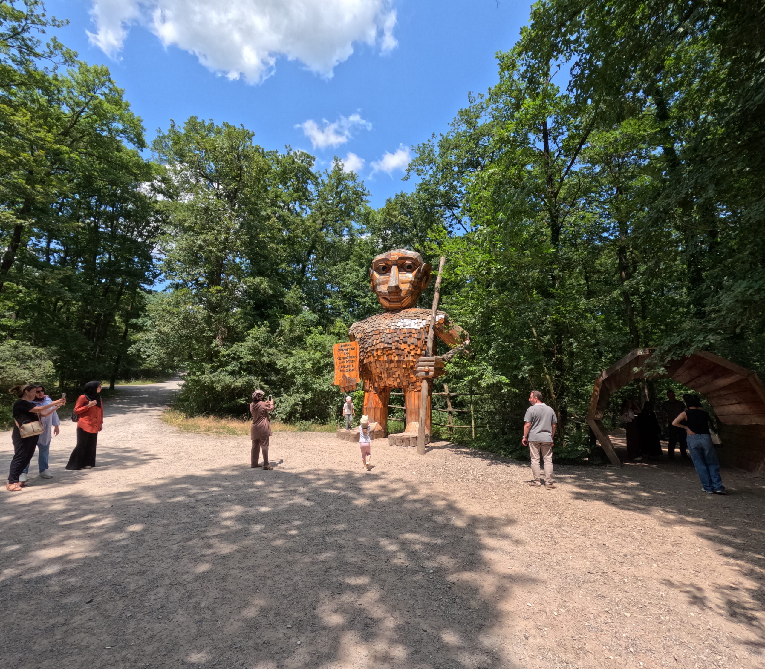 Muhteşem Ormanyada bir gün