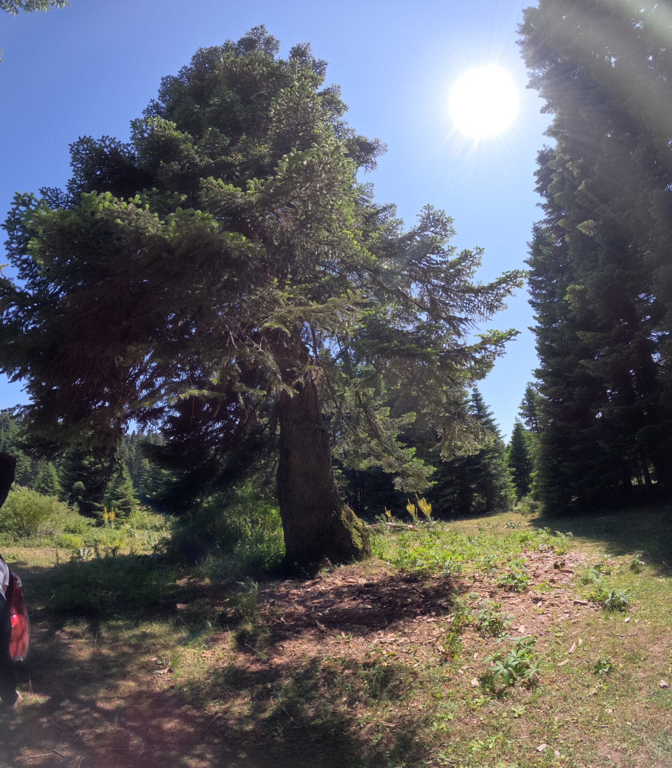 Bolu Sultanbey Yaylasını gezdik